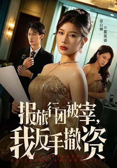 报旅行团被宰我反手撤资(全59集) 海报